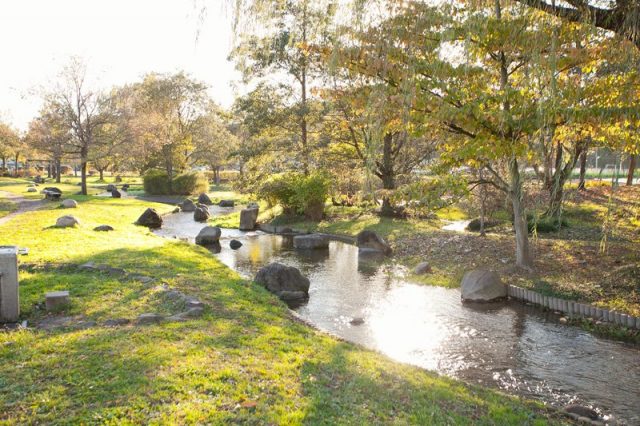 野々下水辺公園（千葉県流山市／公園）｜ガッツレンタカー 流山おおたかの森・初石駅前店｜ガッツレンタカー公式ブログ