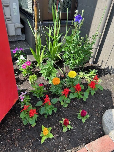 【高城駅前店】花壇のお花がかわりました♪