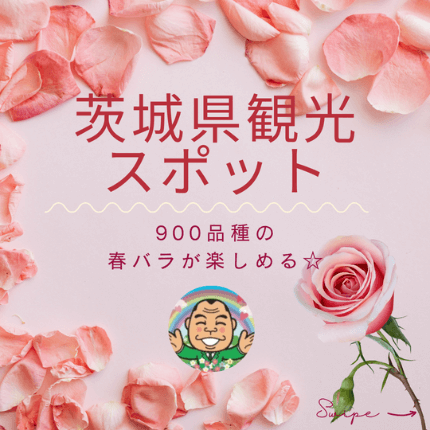 【つくば店】お出かけスポット紹介 ~いばらきフラワーパーク~