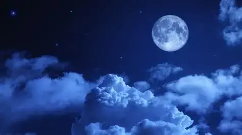 【岩倉店】🌙 夏の夜を遊びつくそう！おすすめナイトアクティビティ🌙