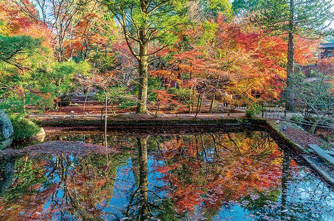 【岩倉店】🍂東海三県の秋のグルメ特集【愛知・岐阜・三重】