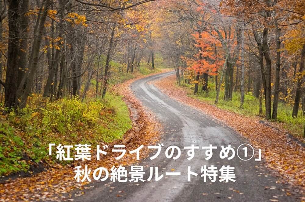 「紅葉ドライブのすすめ①」秋の絶景ルート特集