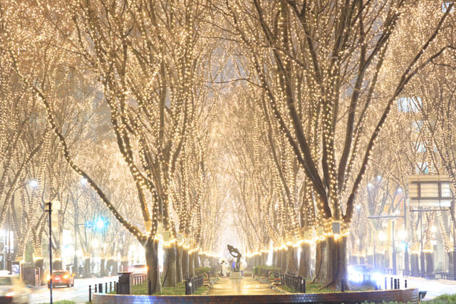 【石巻店】おすすめ✨SENDAI光のページェント