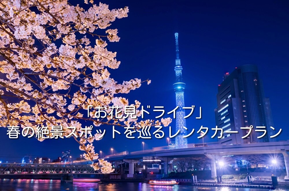「お花見ドライブ」春の絶景スポットを巡るレンタカープラン
