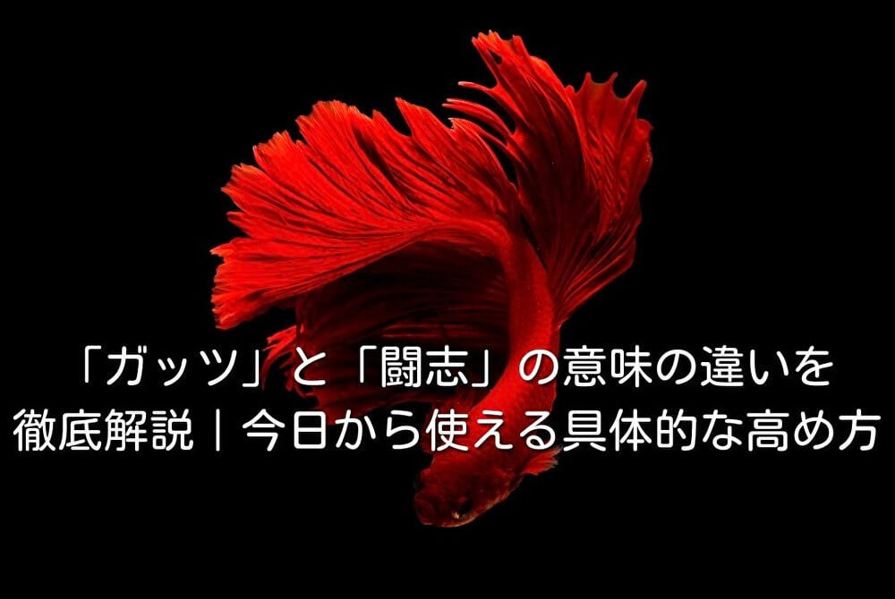 「ガッツ」と「闘志」の意味の違いを徹底解説｜今日から使える具体的な高め方