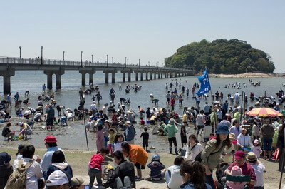 【岩倉店】🌊 愛知・春の人気スポット「竹島で楽しむ潮干狩り」紹介