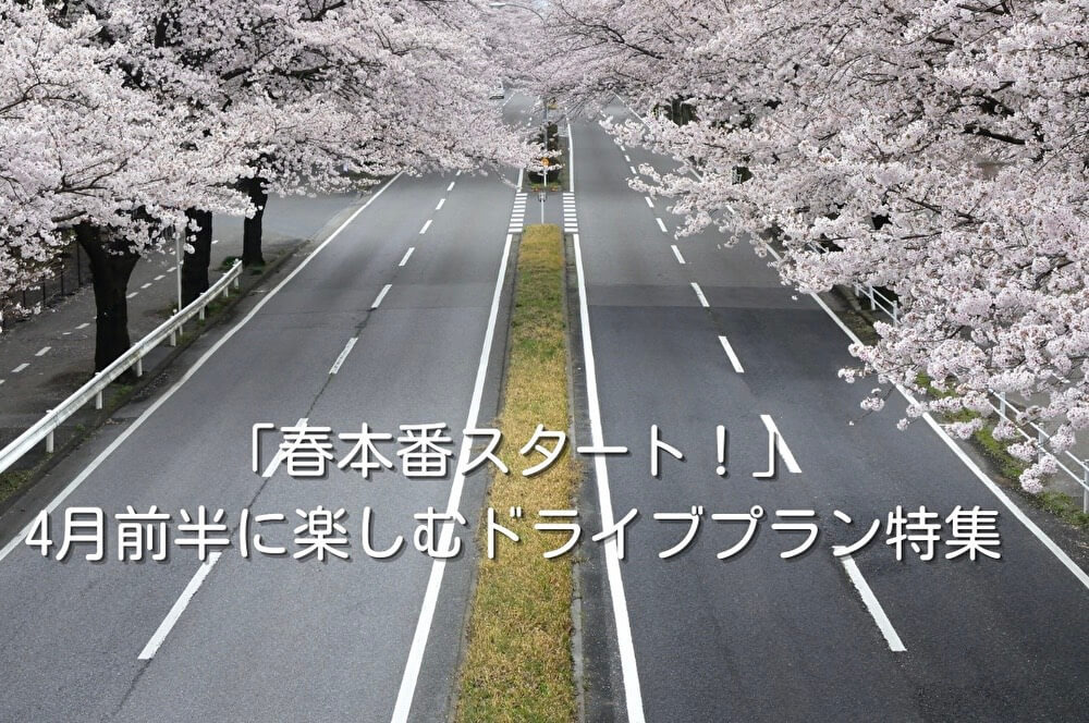 「春本番スタート！」4月前半に楽しむドライブプラン特集