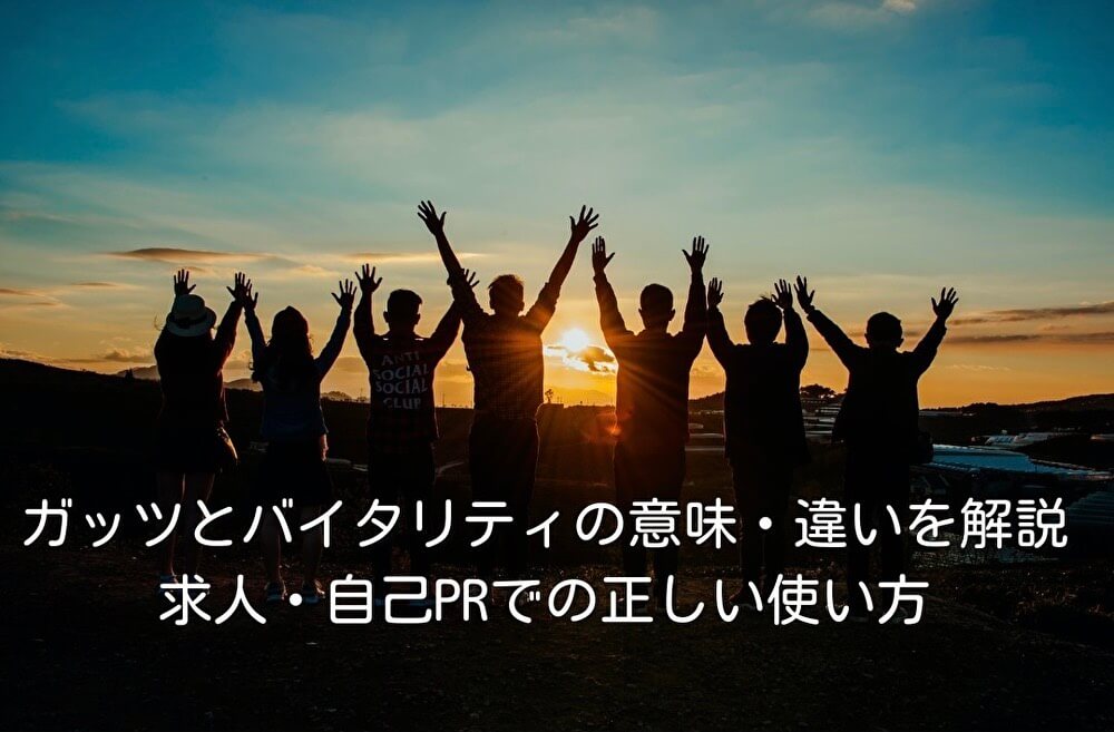 ガッツとバイタリティの意味・違いを解説｜求人・自己PRでの正しい使い方