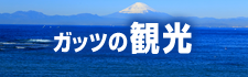 おすすめ観光スポット