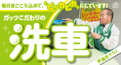 手抜き一切なしガッツの洗車